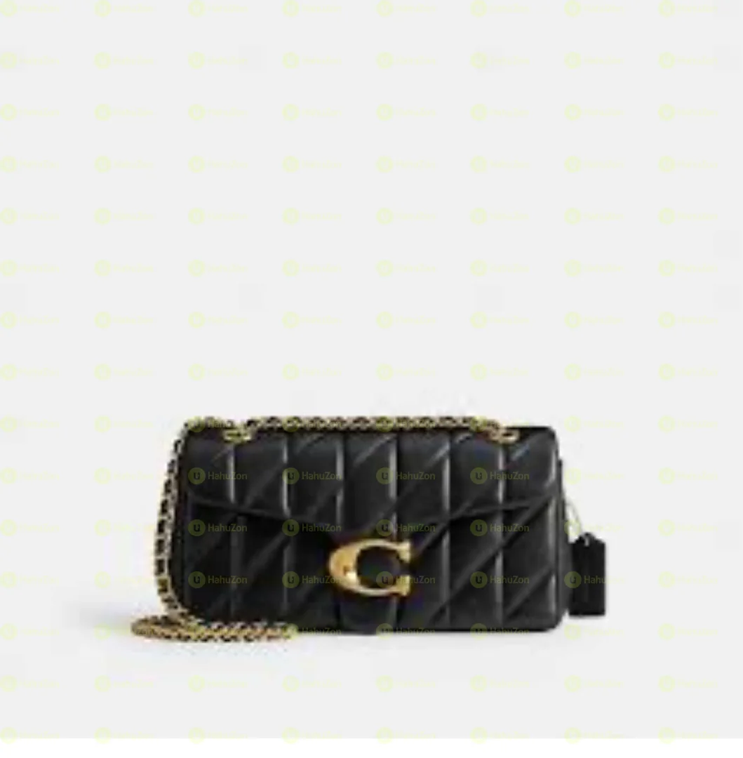 Coach Women’s Hand Bag