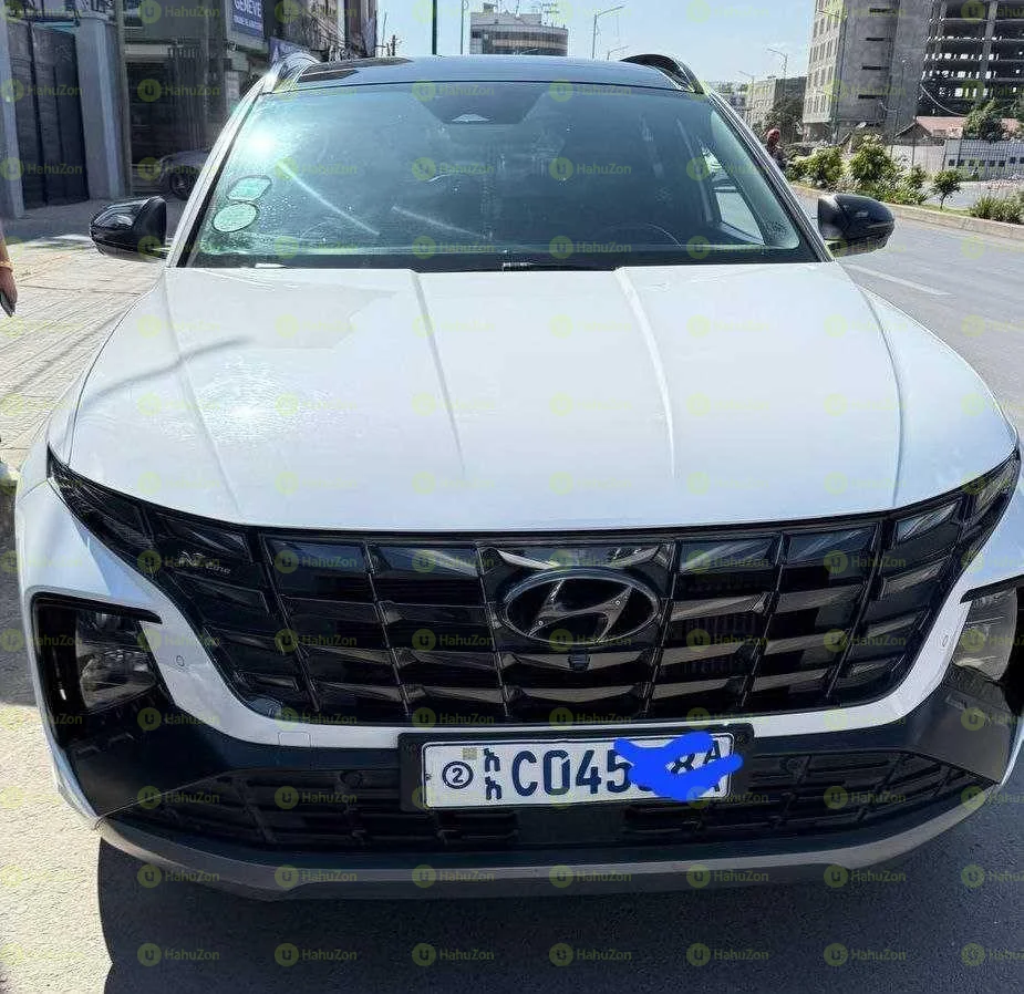 2022 Model-Hyundai Tucson N line