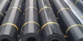 GeoMembrane