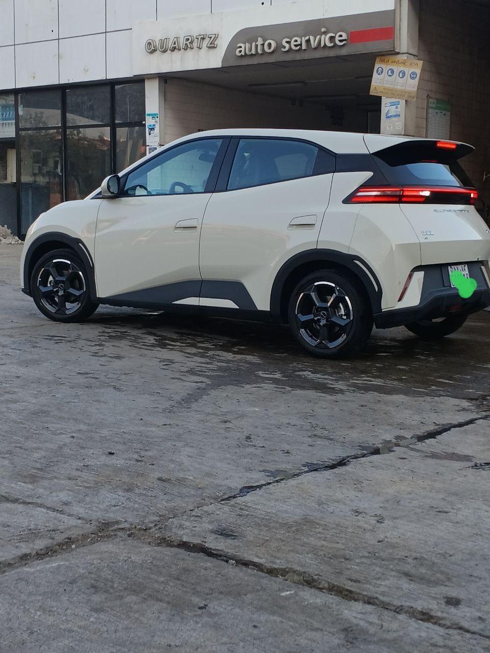2024 Model-BYD Sagull