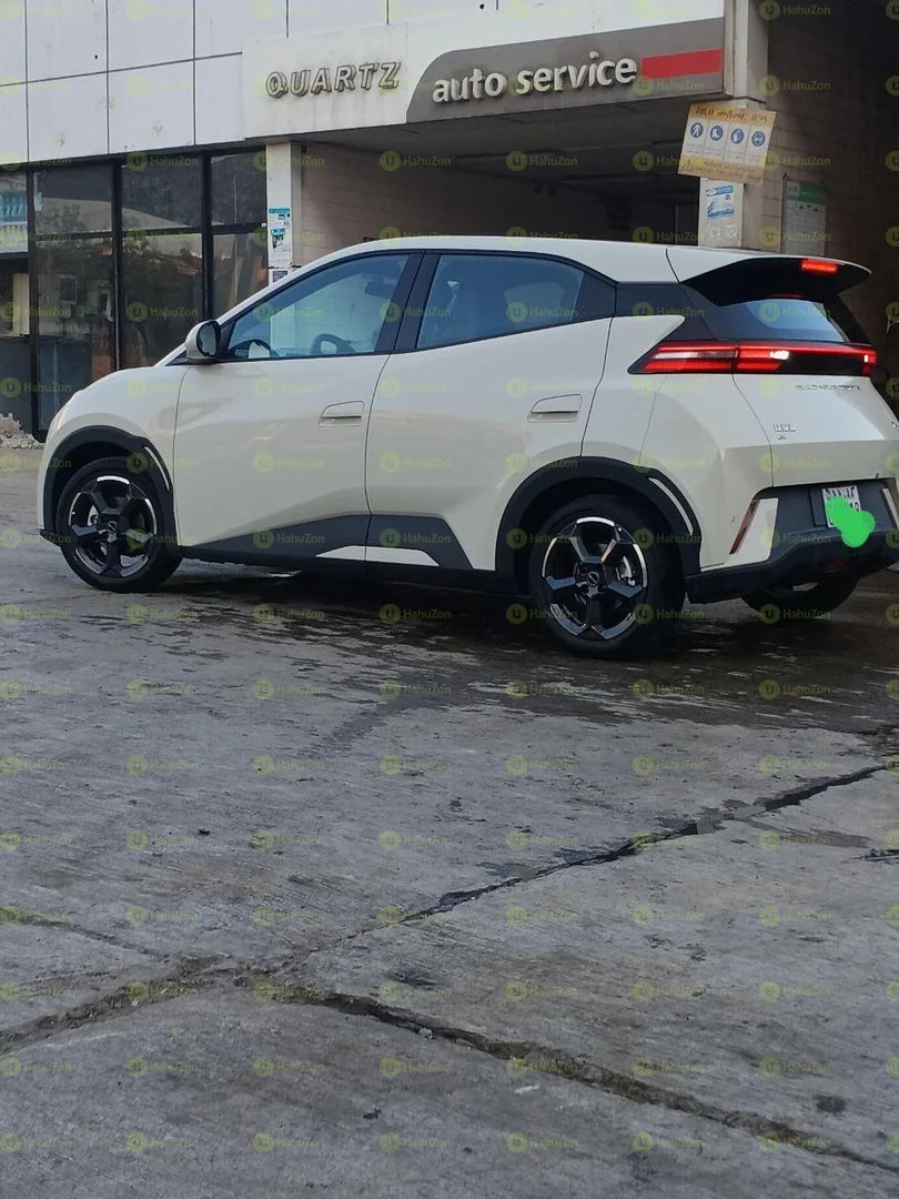 2024 Model-BYD Sagull