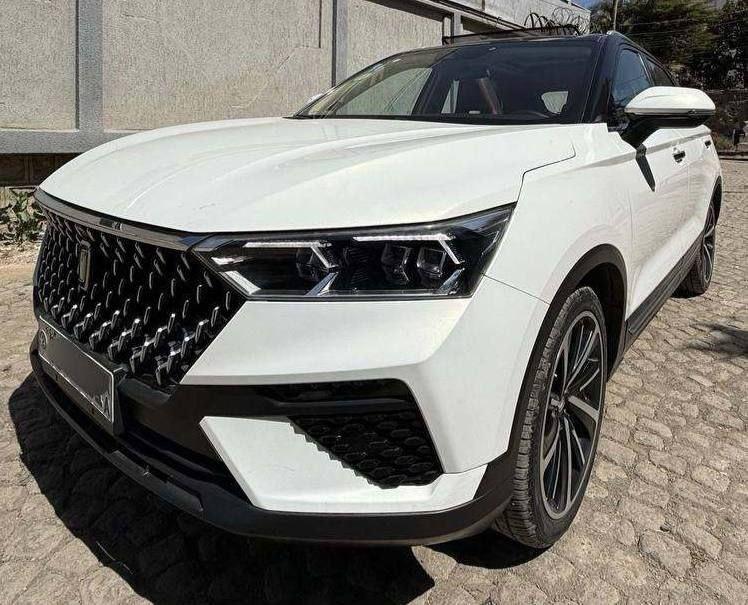 2021 Model-Faw Bestune T77
