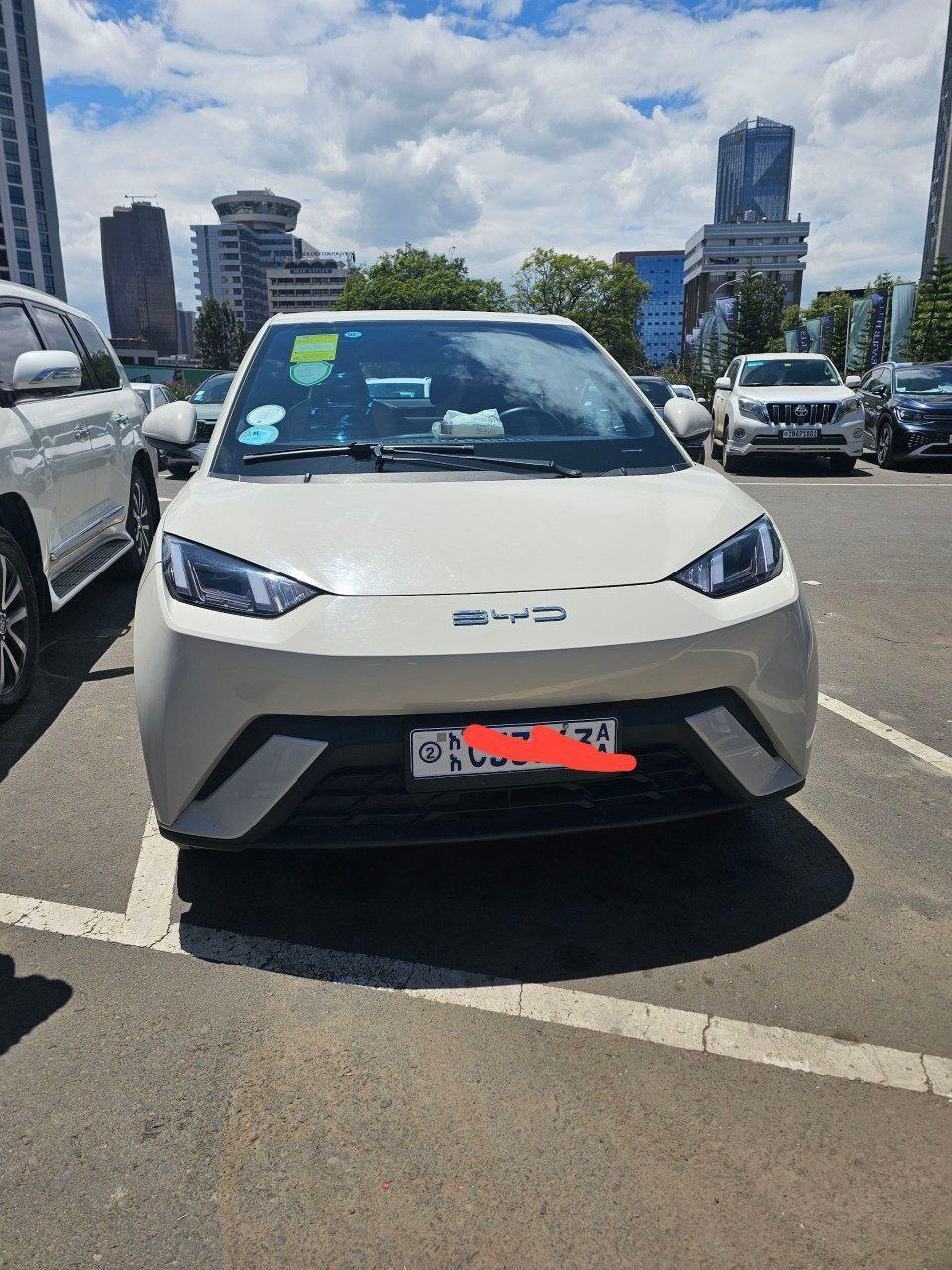 2023 Model-BYD Seagull