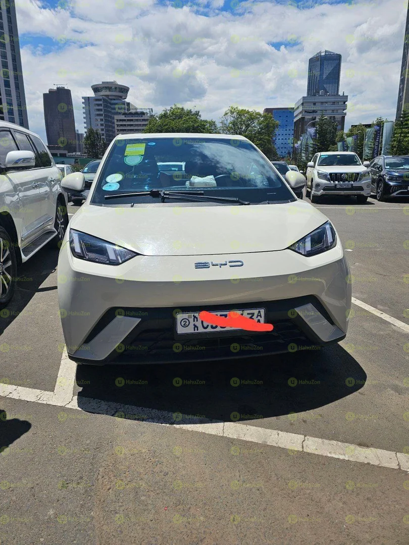 2023 Model-BYD Seagull