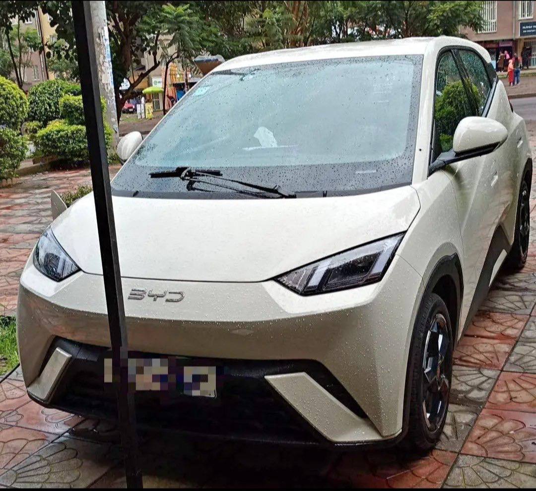 2024 Model-BYD Seagul