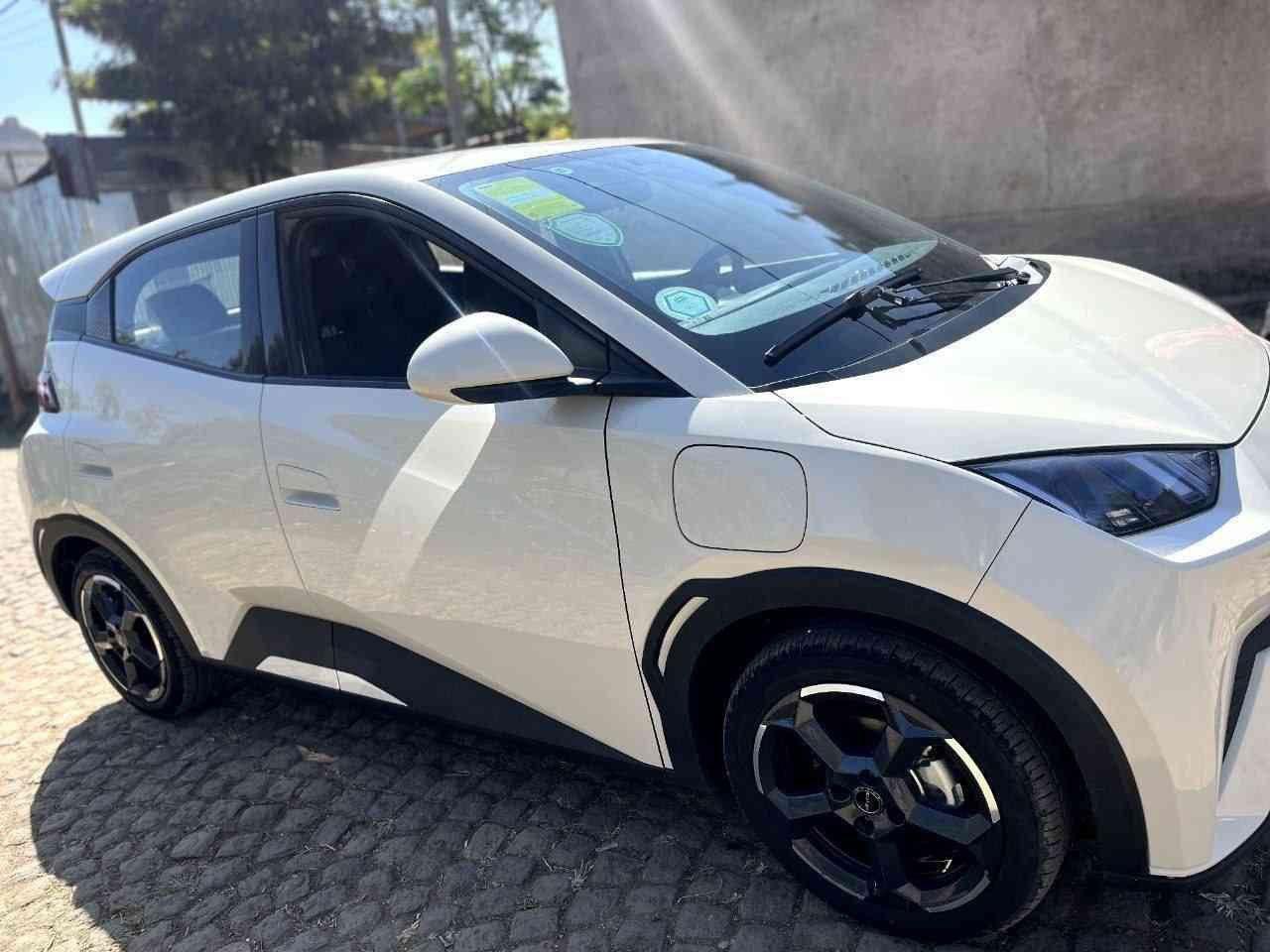 2024 Model-BYD Seagull