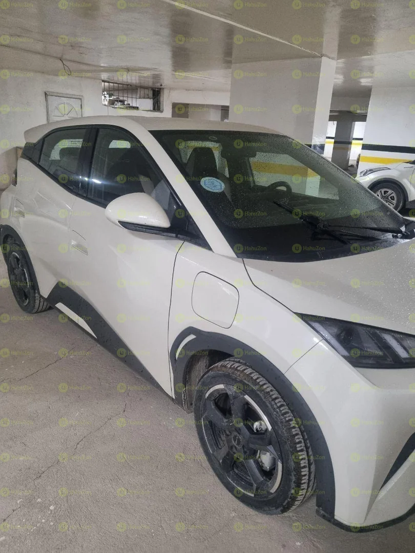 2024 Model-BYD Seagull