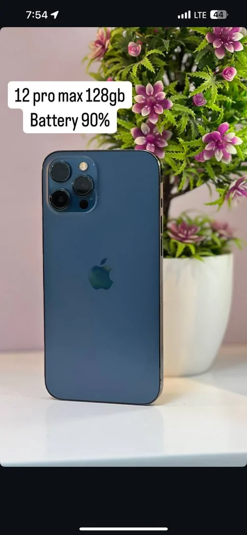 Iphone 12 Pro Max