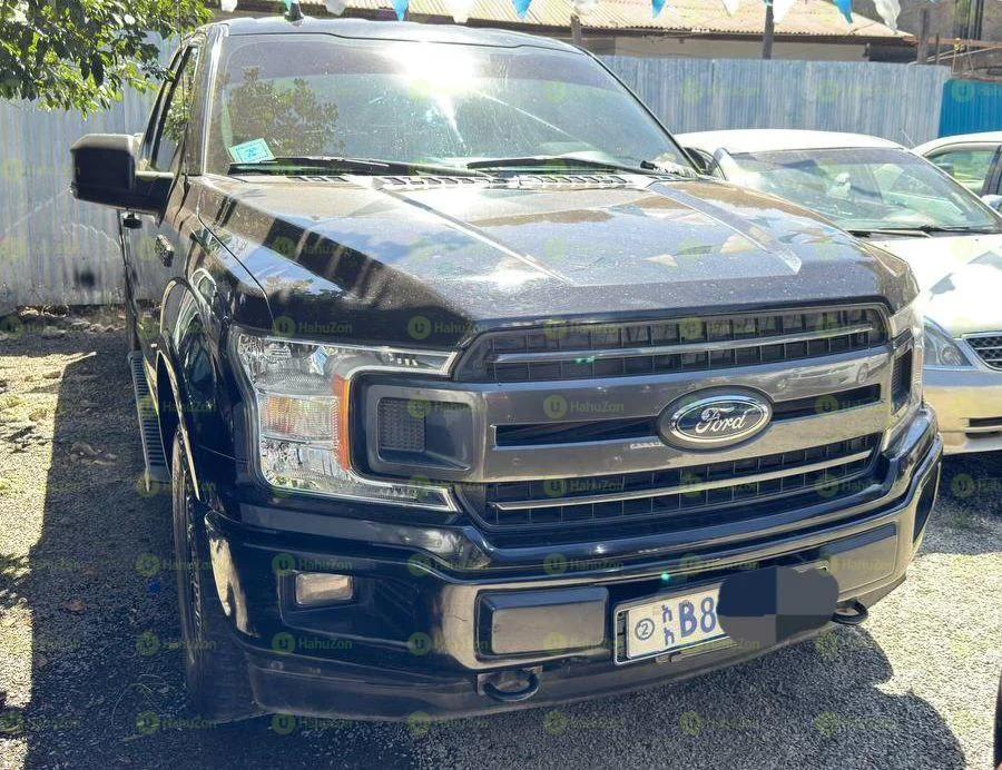 2020 Model-Ford F-150