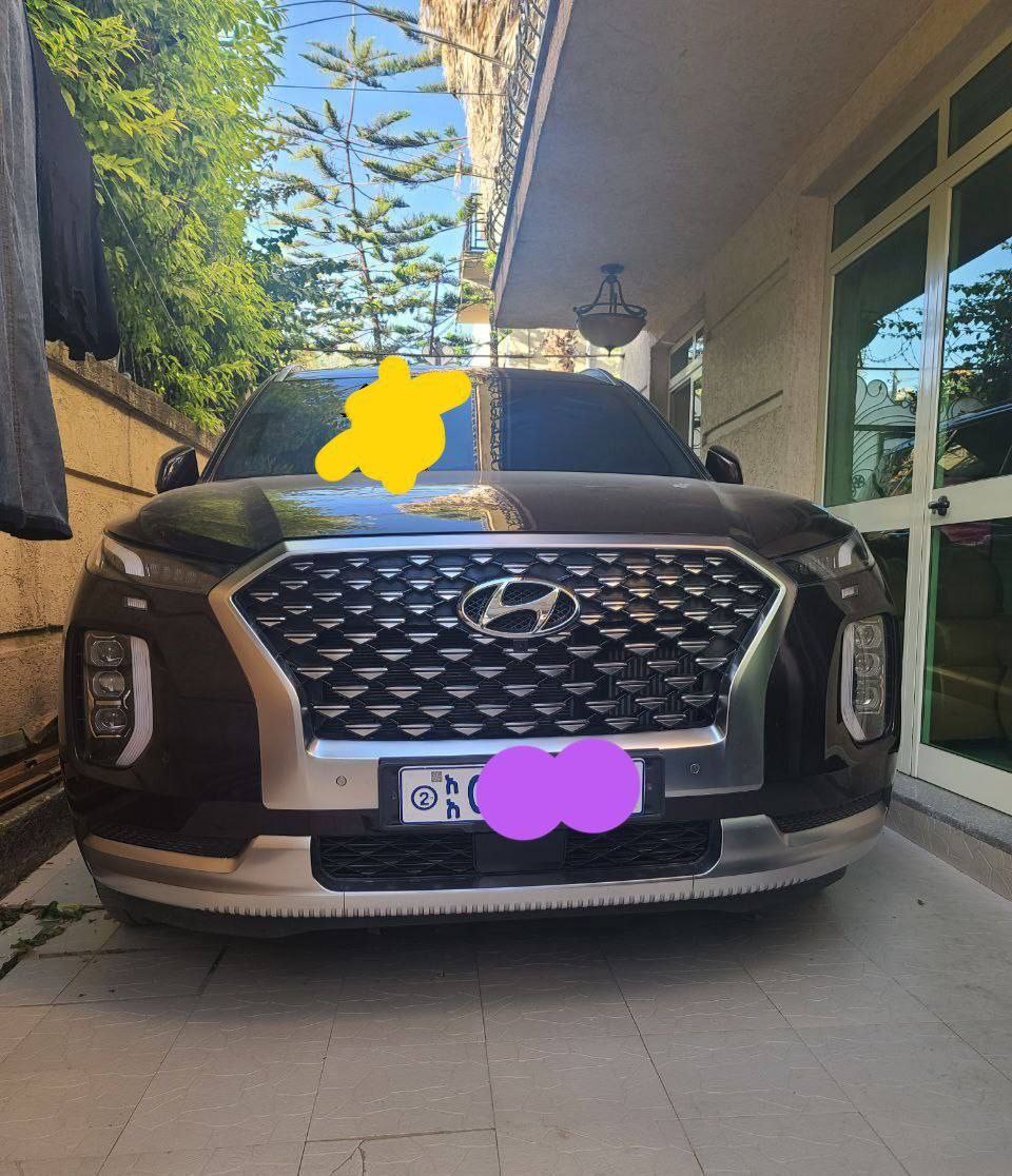 2022 Model-Hyundai Palisade