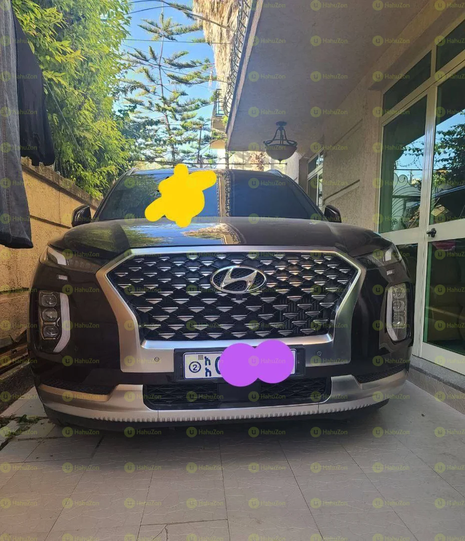 2022 Model-Hyundai Palisade
