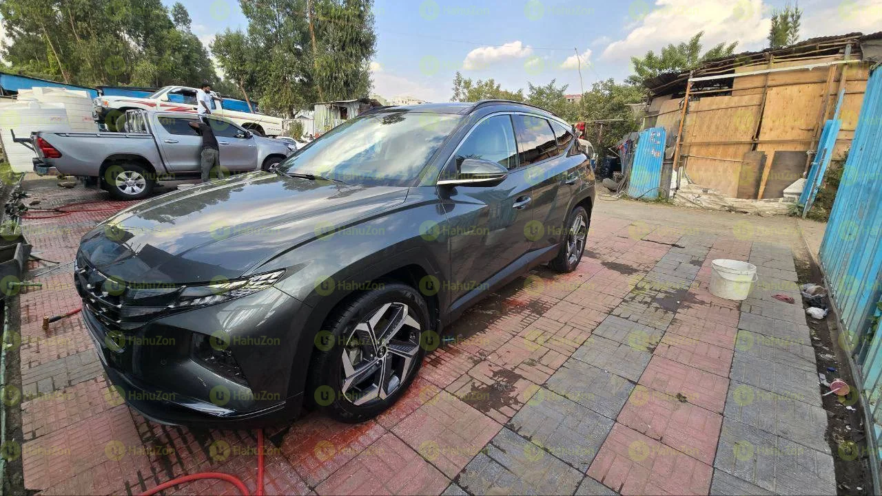 2022 Model-Hyundai Tucson