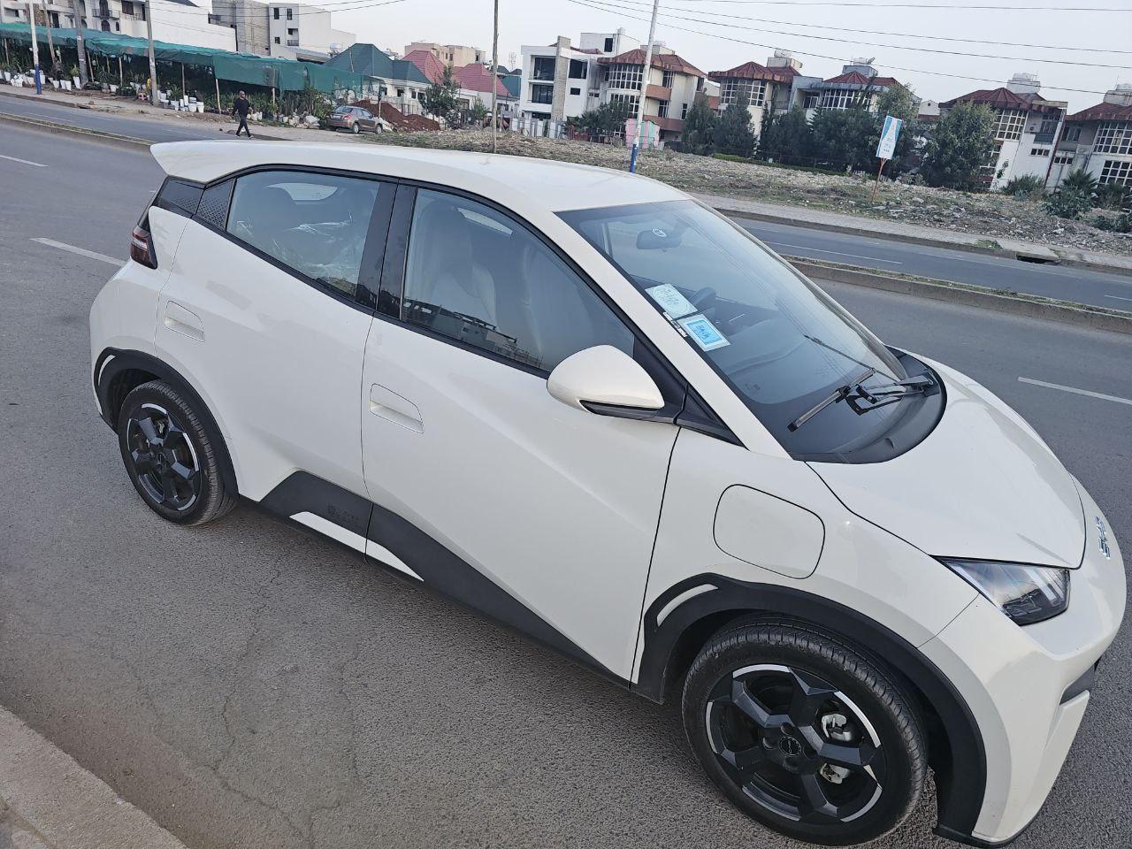 2024 Model-BYD Seagull