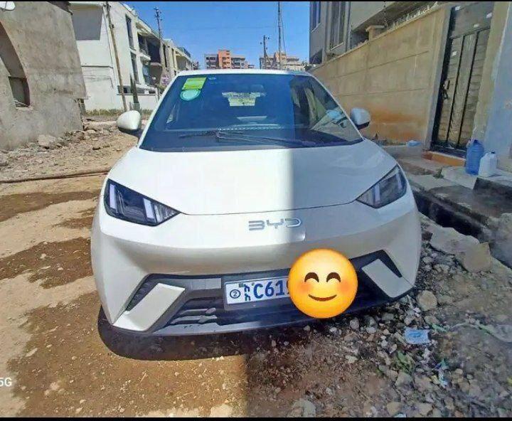 2024 Model-BYD Seagull