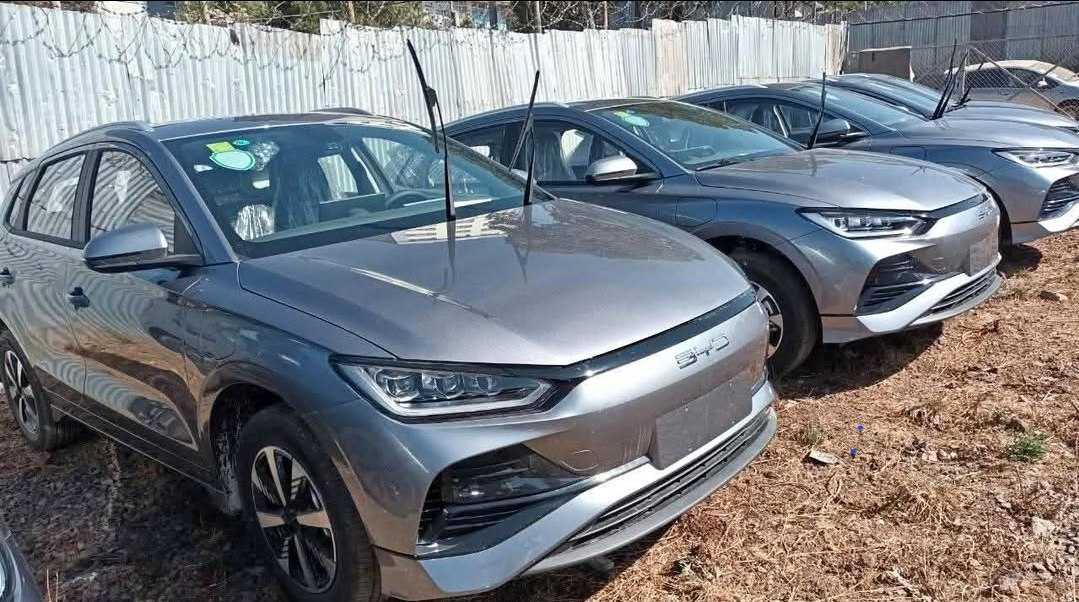 2024 Model-BYD e2