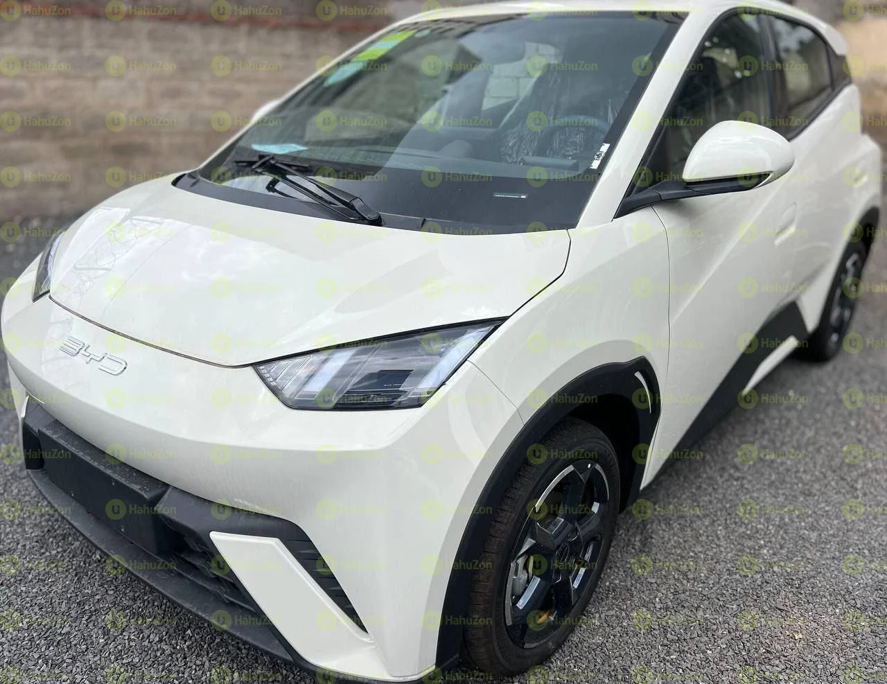 2024 Model-BYD Seagull