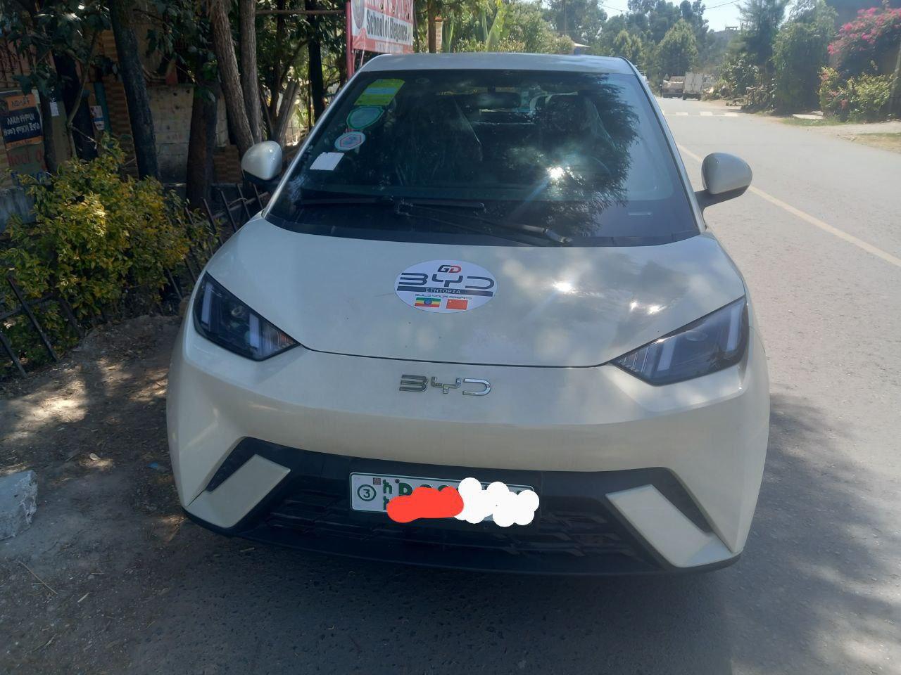 2023 Model-BYD Seagull