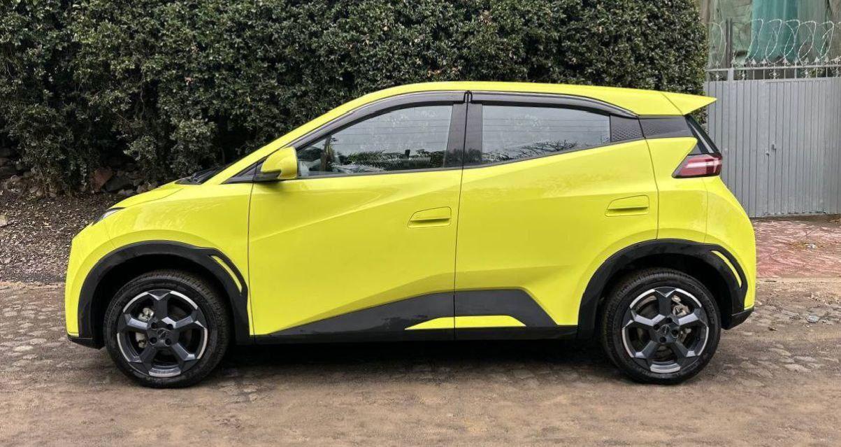2024 Model-BYD Seagull
