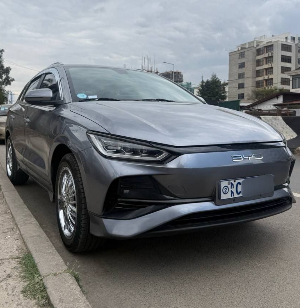 2024 Model-BYD E2