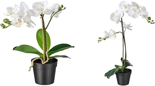Artificial Potted Plant Orchid White