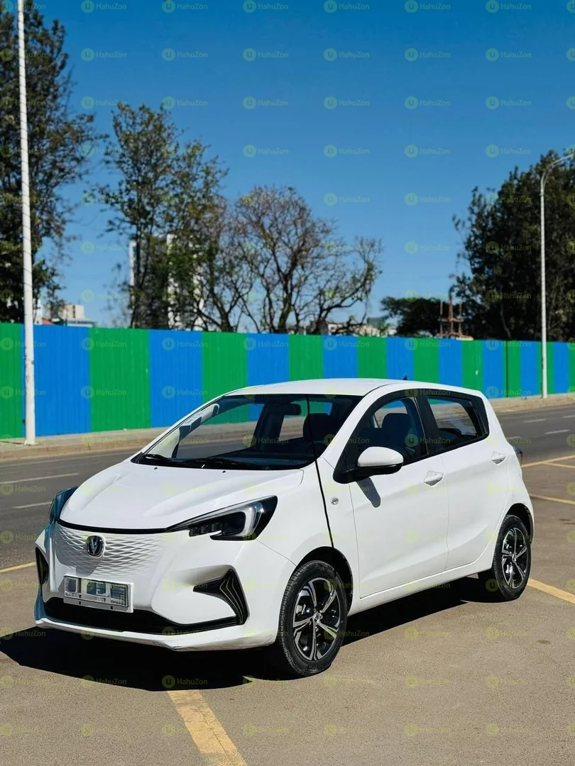 2023 Model-Changan Benbez e-star