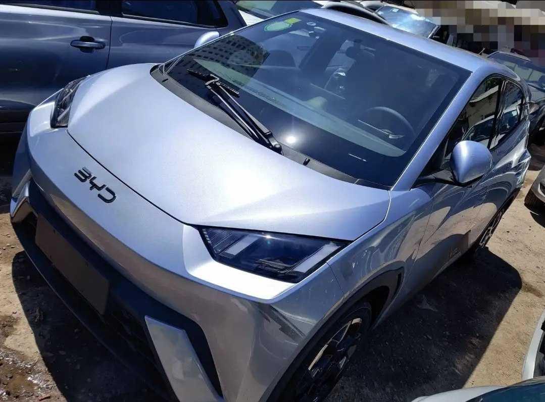 2025 Model-BYD Seagull