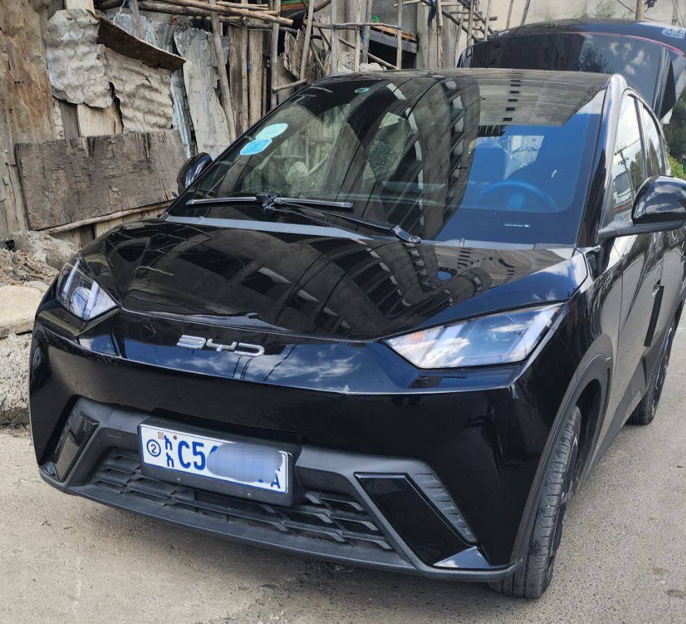 2024 Model-BYD Seagull
