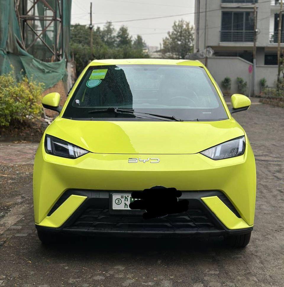 2024 Model-BYD Seagul