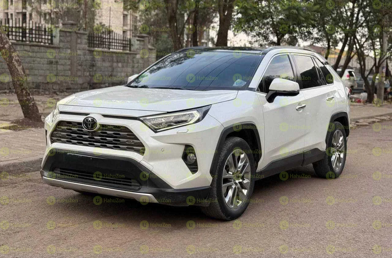 2020 Model-Toyota Rav4