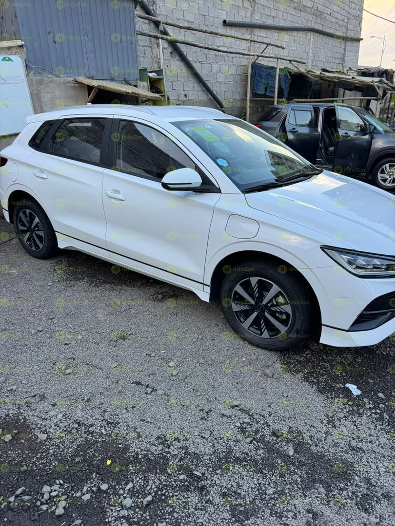 2024 Model-BYD e2