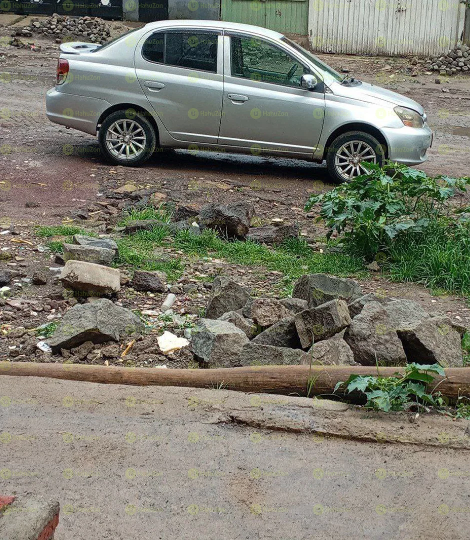 2005 Model-Toyota Platz