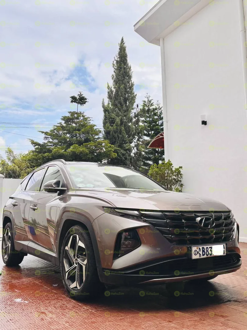 2021 Model-Hyundai Tucson