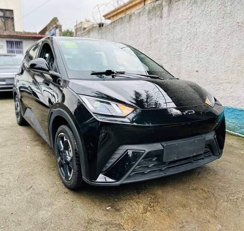 2025 Model-BYD Seagull