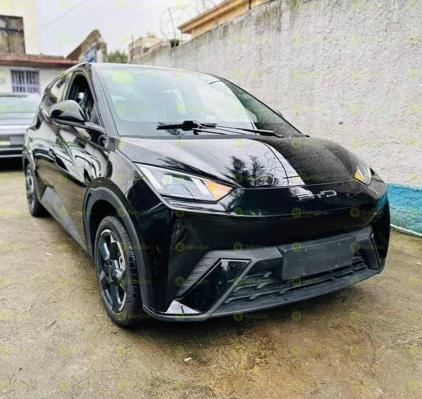 2025 Model-BYD Seagull