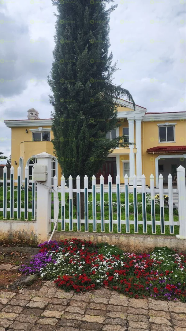 1000 ካሬ የሚሸጥ ቤት በጣፎ