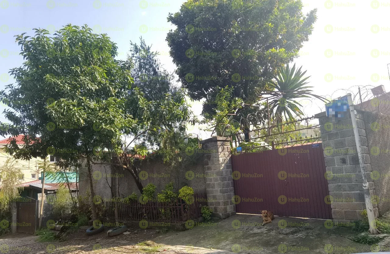 531 ካሬ የሚሸጥ ቤት ሳርቤት ቫቲካን