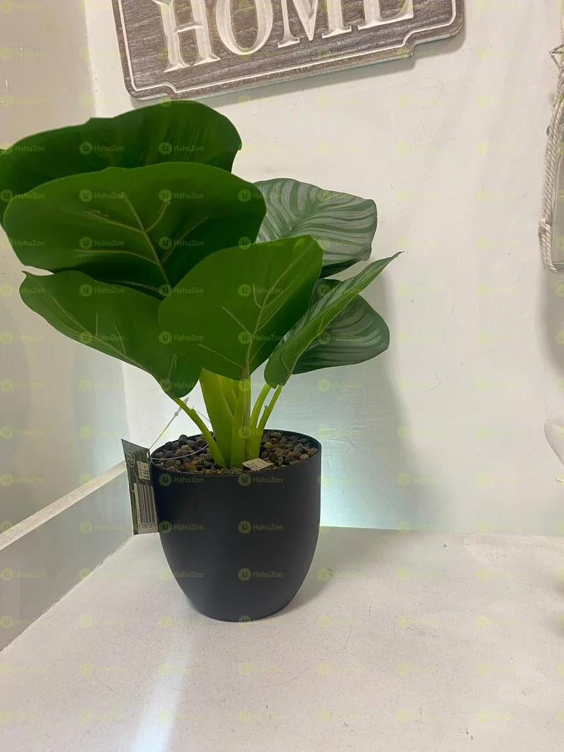 Artificial wide leaf and Pot