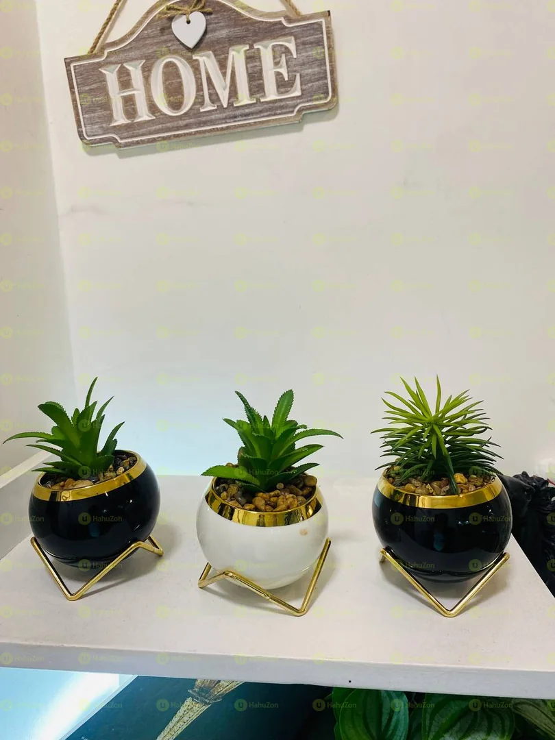 Ceramic Black And Golden Pot