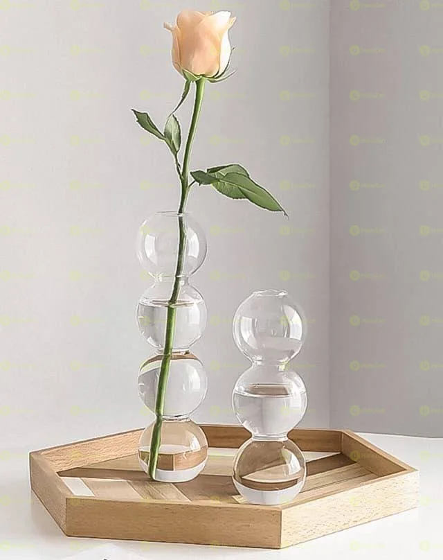 2 piece Transparent Bubble Vase