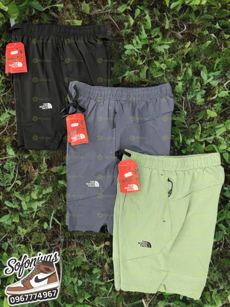 The north face  Shorts