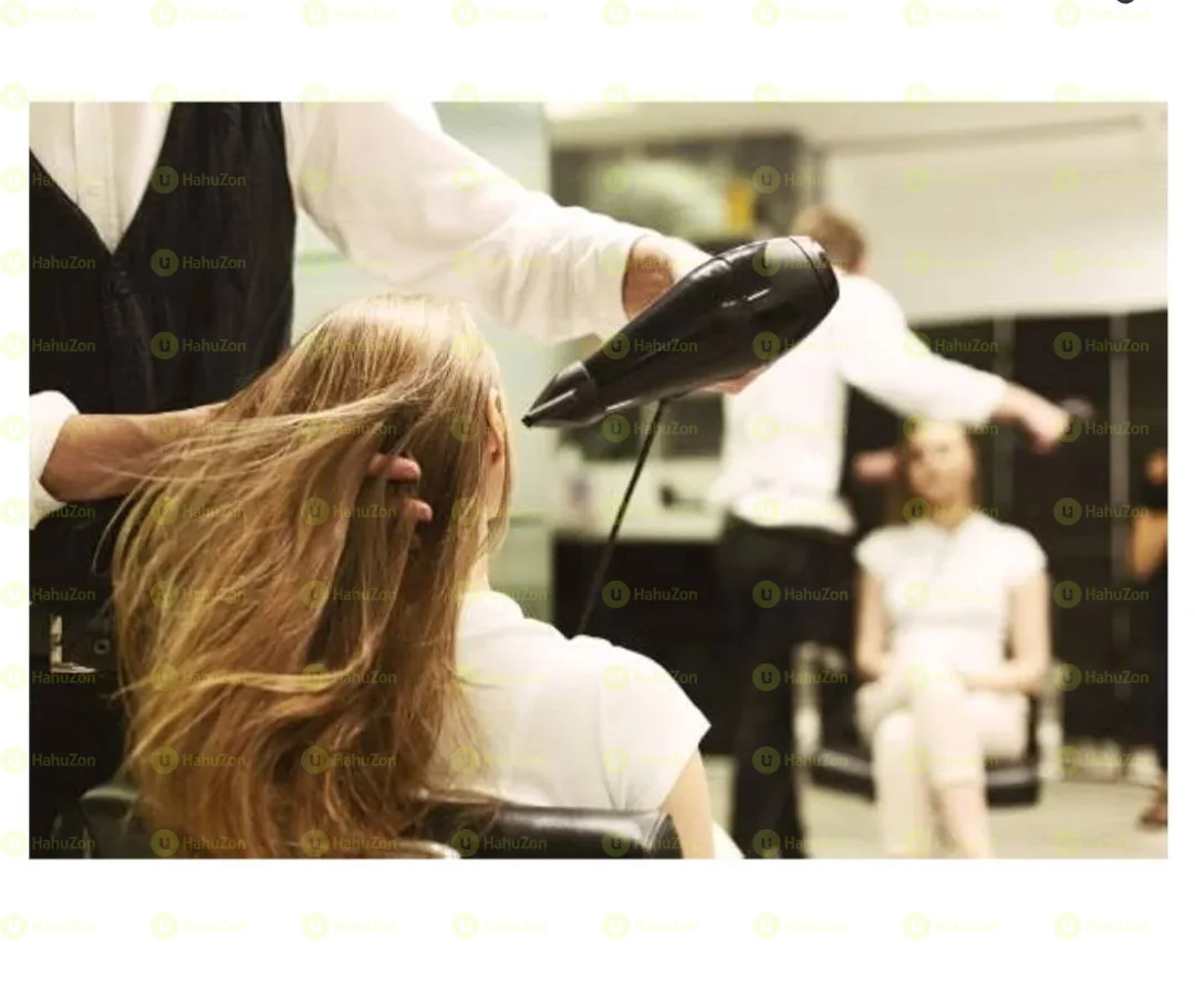 GW Hair Dryer