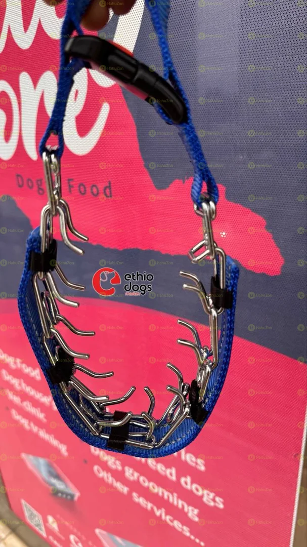 Prong Collar