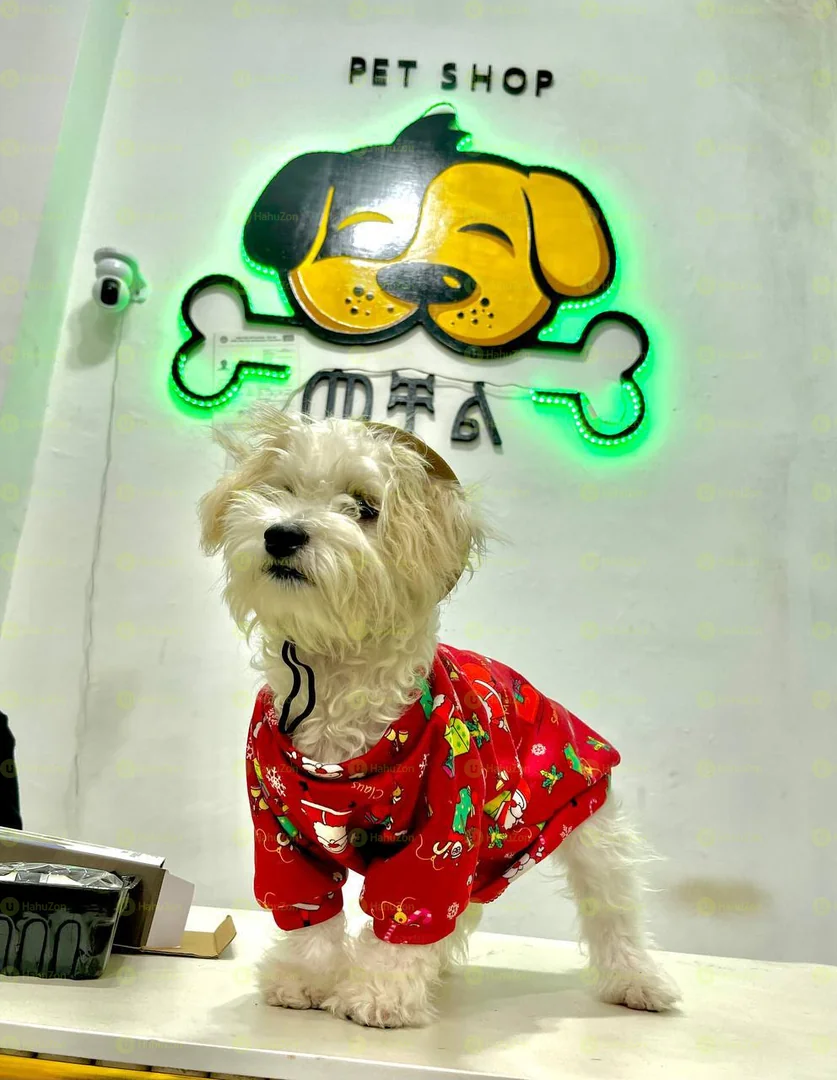 Pet Christmas Clothes