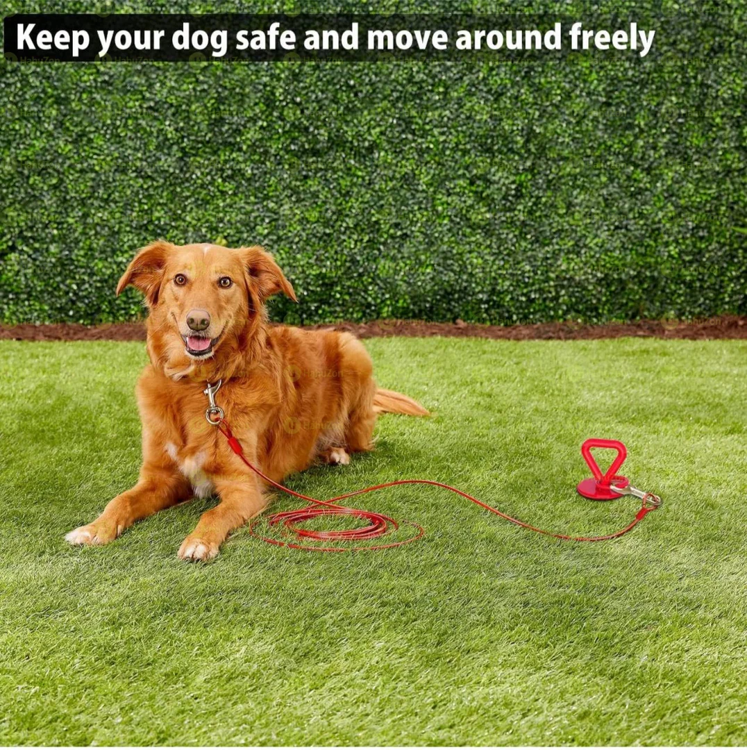 Out Door Tie-Out Dog Leash