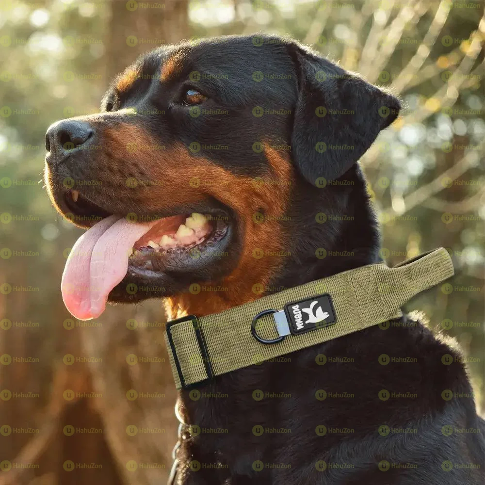 Tactile High Grade Collar