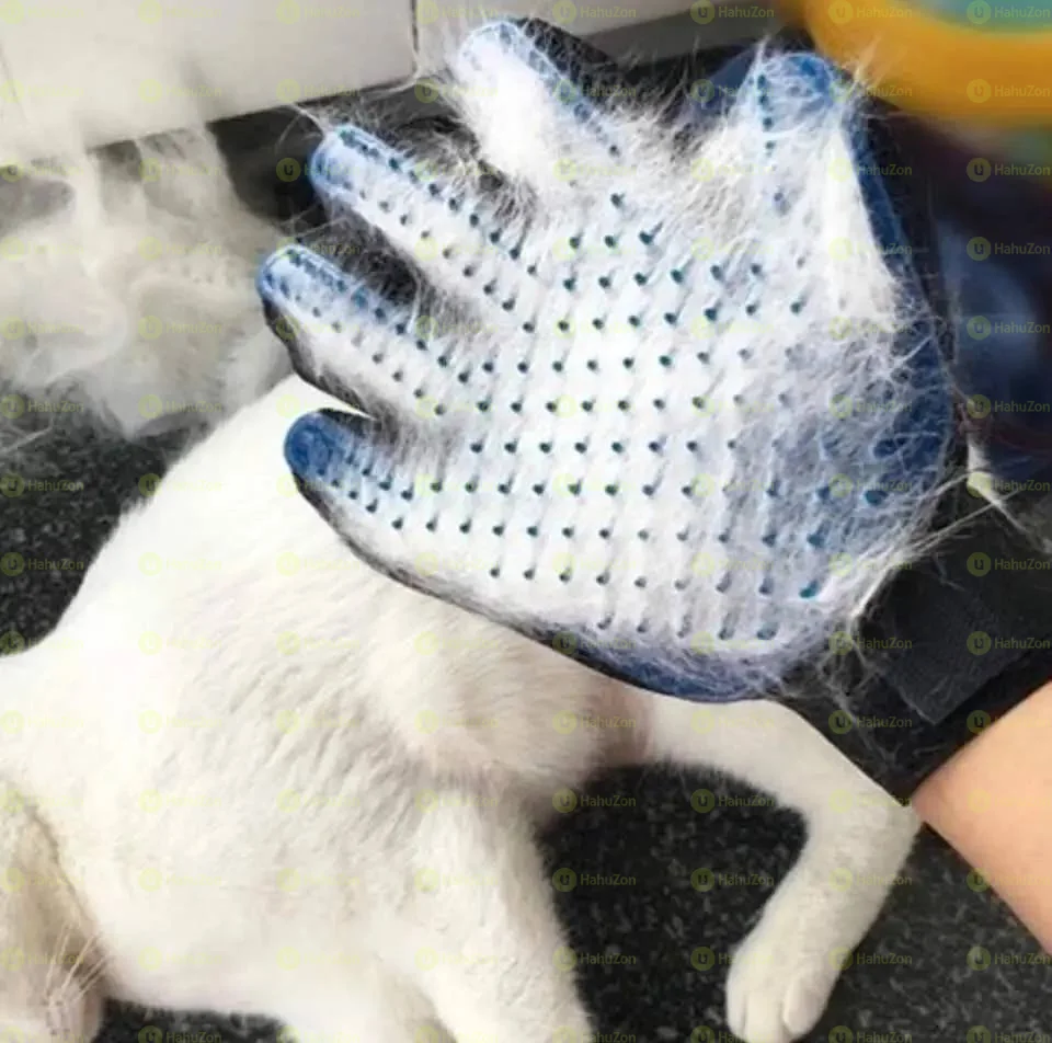 Grooming Glove