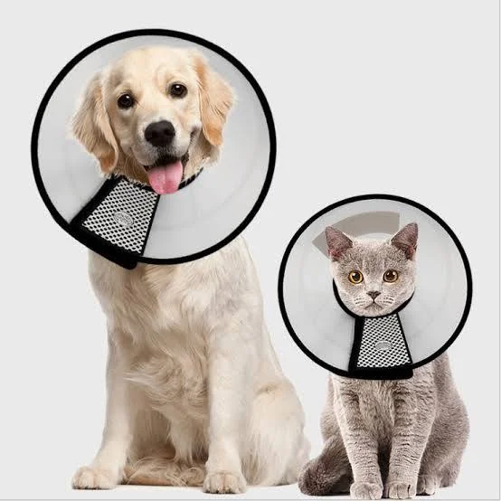 cone Collar