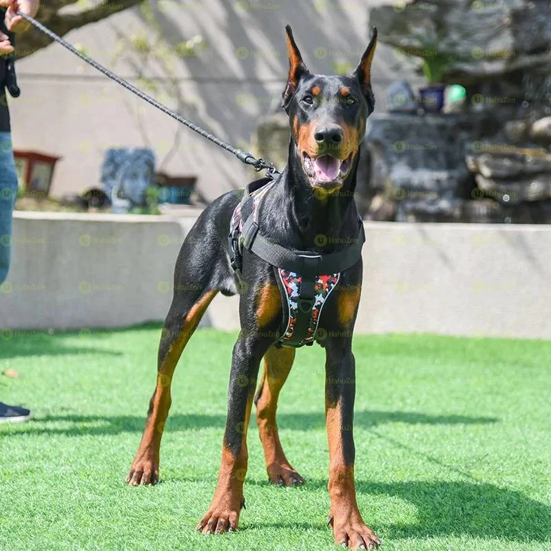 Dog Harness
