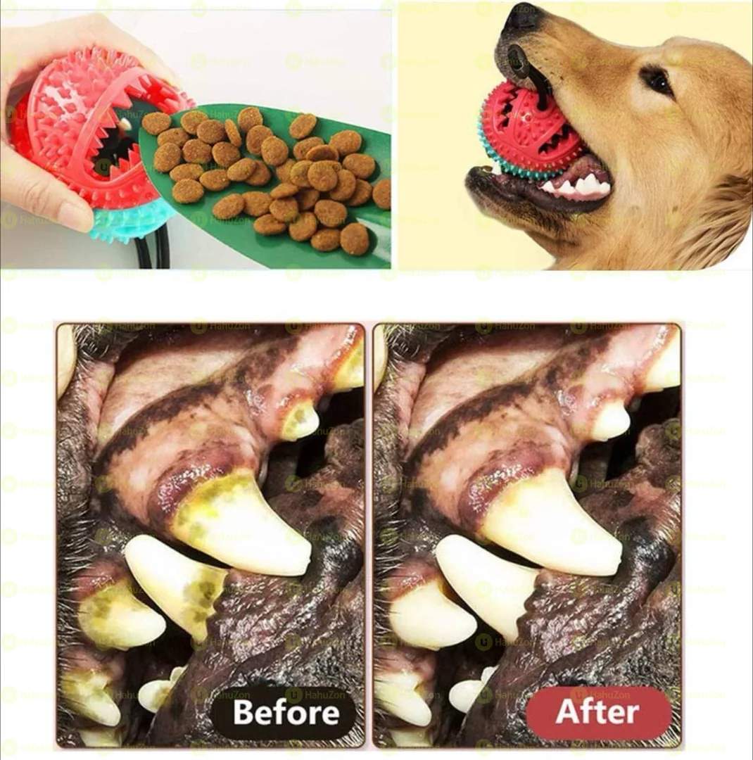 Dog Chew Toy