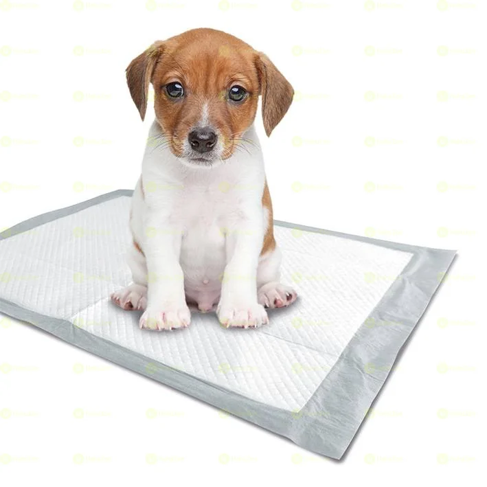 Puppy Training Pad